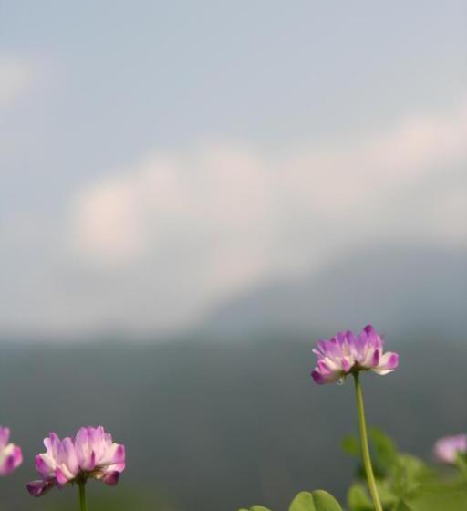 Пансион Yakunoyado Taguchi