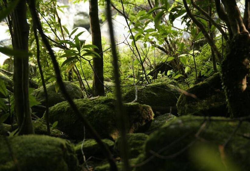 Пансион Yakunoyado Taguchi