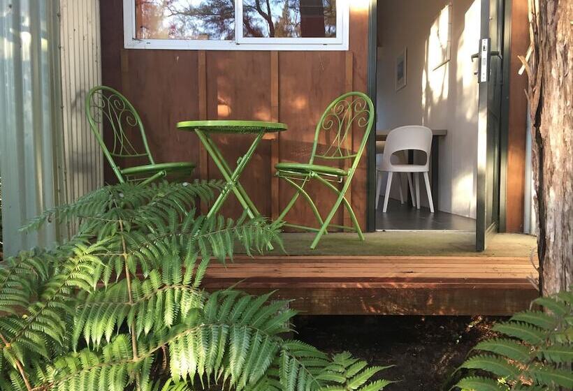 הוסטל Kanuka Ridge Lodge