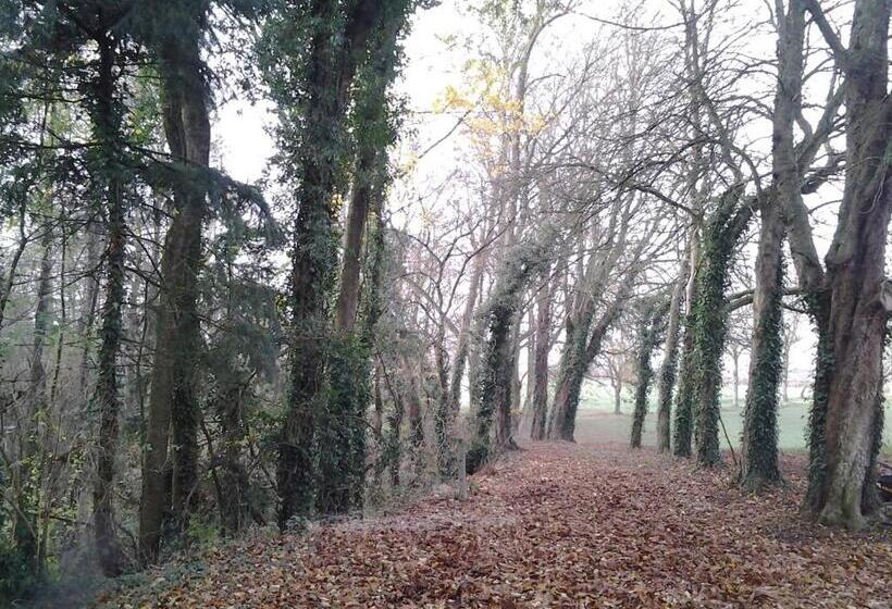 ベッドアンドブレックファースト Le Chateau Du Grand Coudray