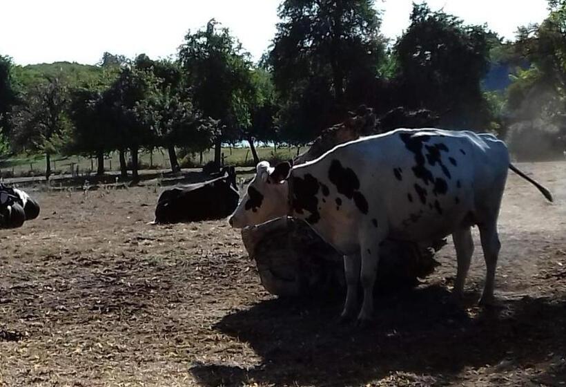 ベッドアンドブレックファースト Le Chateau Du Grand Coudray