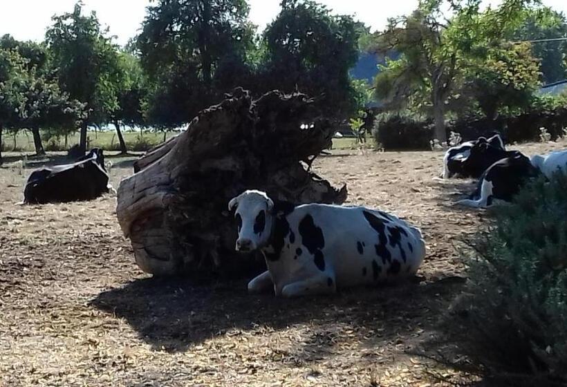 ベッドアンドブレックファースト Le Chateau Du Grand Coudray