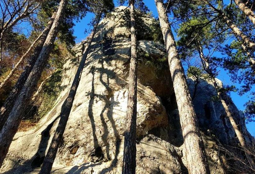 تختخواب و صبحانه Theodosius Forest Village   Glamping In Vipava Valley