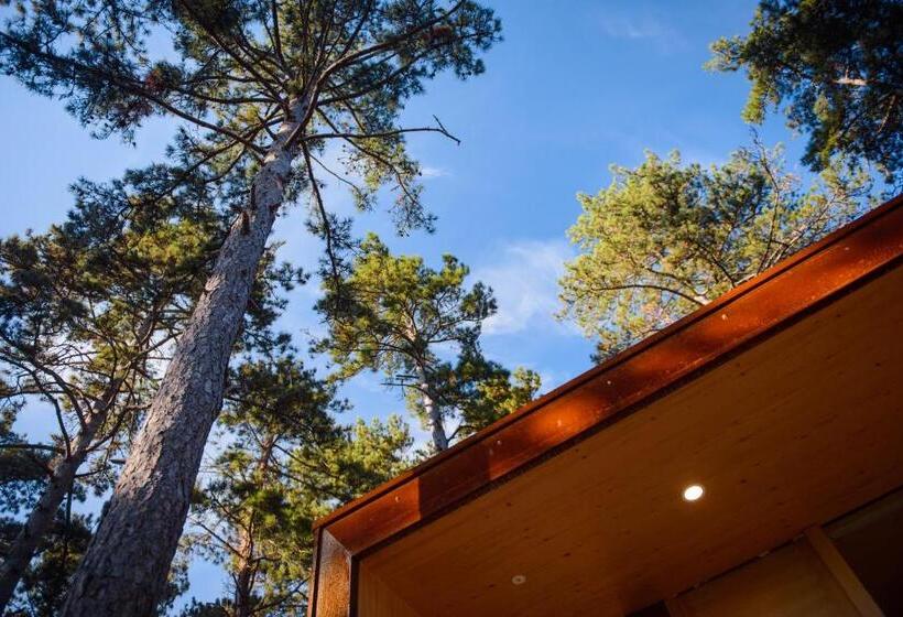 تختخواب و صبحانه Theodosius Forest Village   Glamping In Vipava Valley