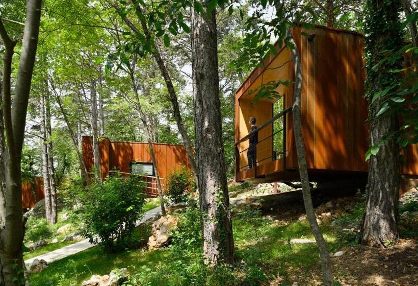 تختخواب و صبحانه Theodosius Forest Village   Glamping In Vipava Valley
