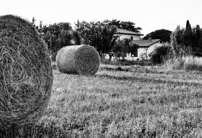 فندق Orti Di Capalbio