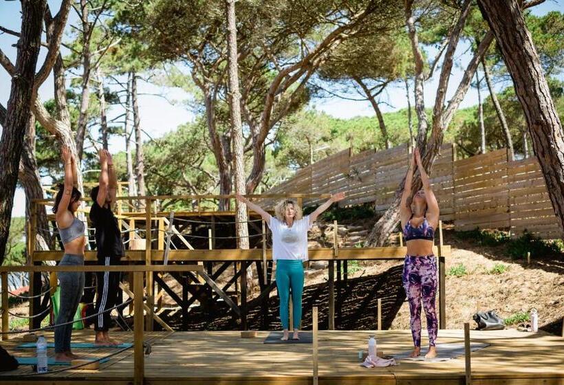 Oasis Backpackers Hostel Sintra Surf