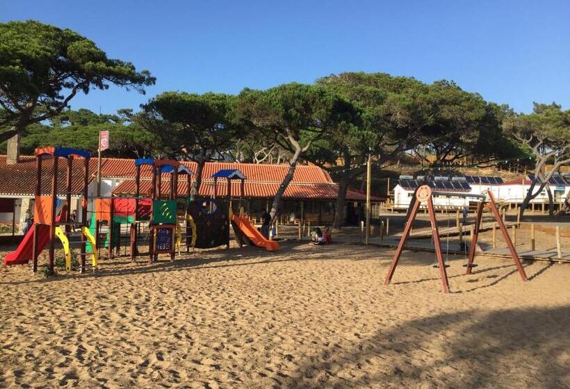 Oasis Backpackers Hostel Sintra Surf