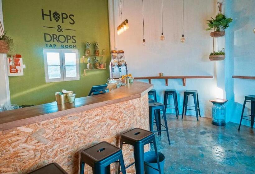 Oasis Backpackers Hostel Sintra Surf