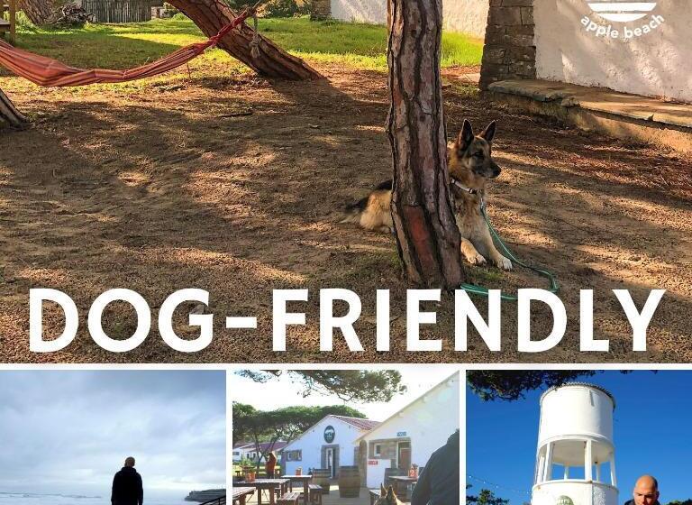 Oasis Backpackers Hostel Sintra Surf