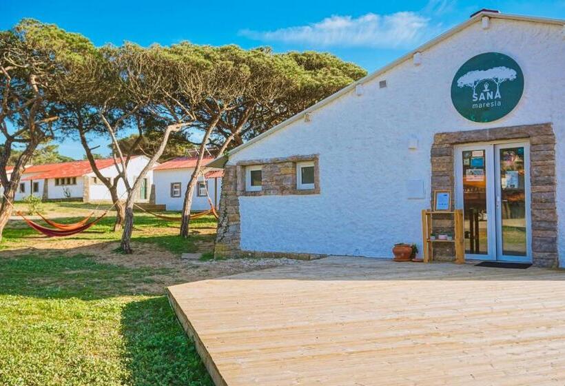 Oasis Backpackers Hostel Sintra Surf