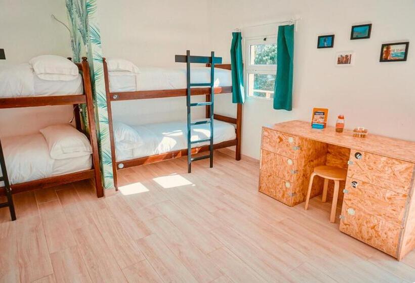 Oasis Backpackers Hostel Sintra Surf