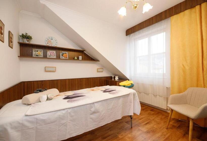 פנסיון Penzion Pomnenka