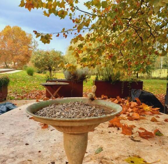 پانسیون Varga Villa