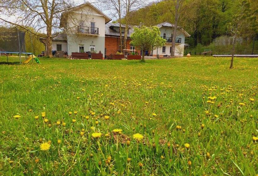 پانسیون Varga Villa