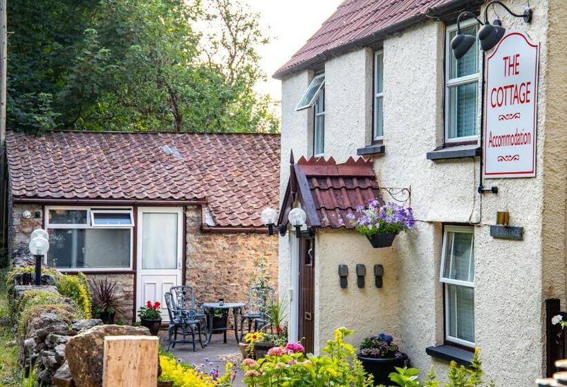 مبيت وإفطار The Cottage