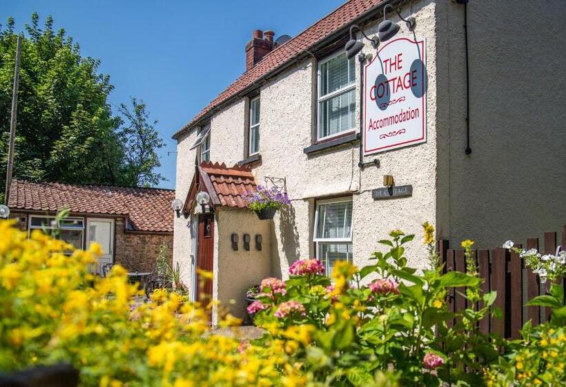 مبيت وإفطار The Cottage