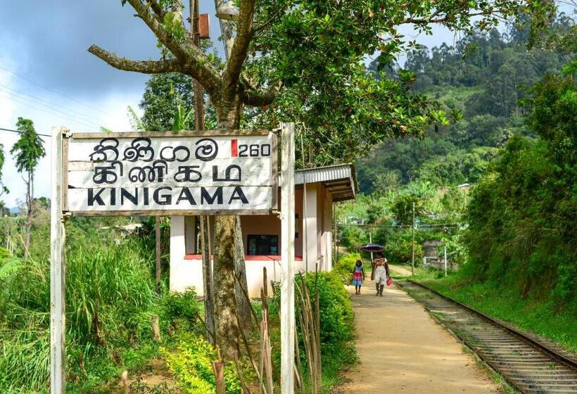 ホテル Club Doonvale