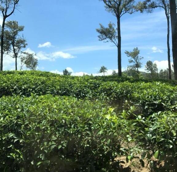 ホテル Club Doonvale