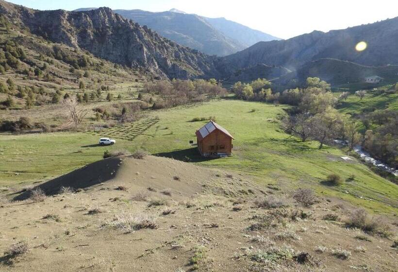 胶囊酒店 Ranger Campus Eco Lodge