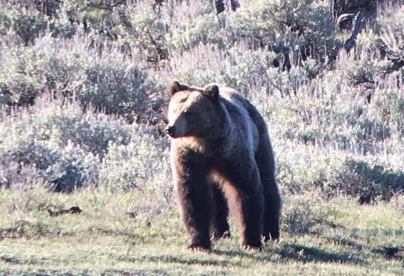 בית מלון כפרי Elk Horn Lodge