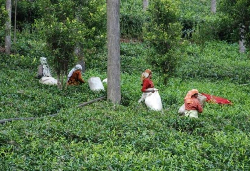 بنسيون Colonial 4 B/r Home, Great For Families, Coonoor