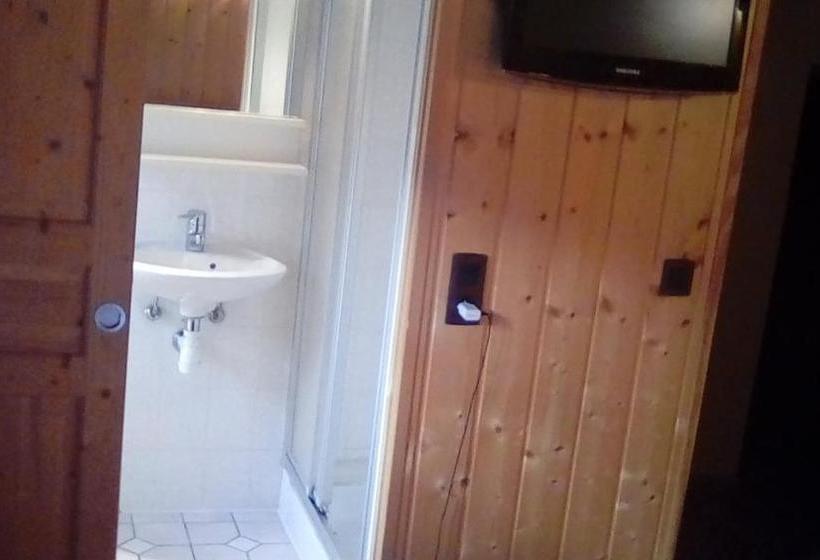 بنسيون Grand Chalet Du Lac Du Boreon