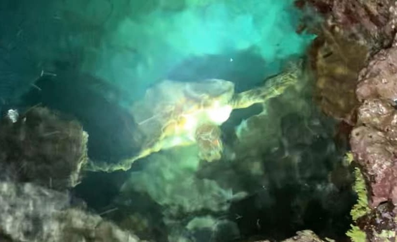 بنسيون Guest House Ama Terrace