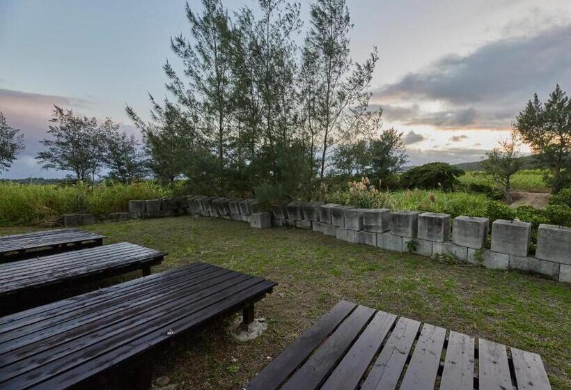 بنسيون Guest House Ama Terrace