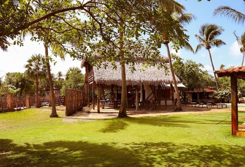 بنسيون Orla Atins