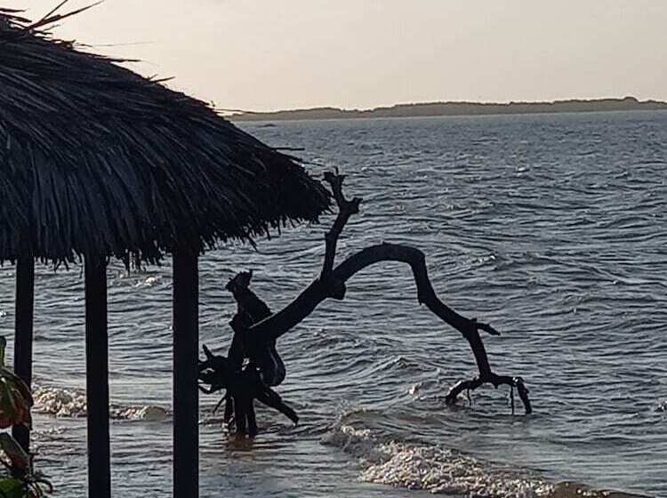 بنسيون Orla Atins