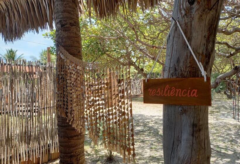 بنسيون Orla Atins