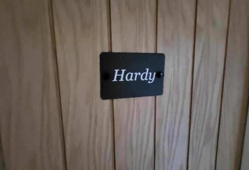 St Andrews House B&b