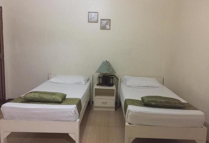 هاستل Areiv Inn