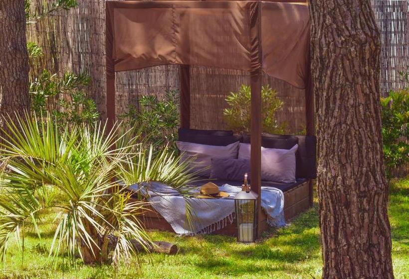 Общежитие Bella Bungalows