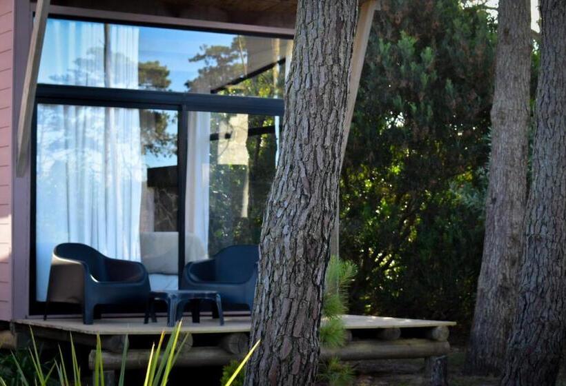 Общежитие Bella Bungalows