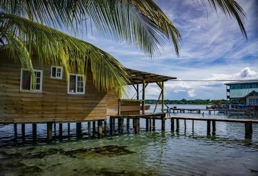 فندق صغير Hostal On The Sea
