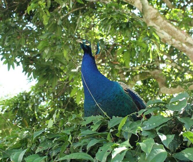 הוסטל Rio Escondido