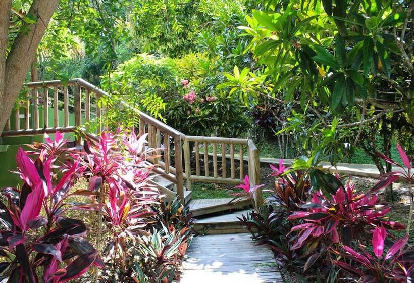 הוסטל Rio Escondido