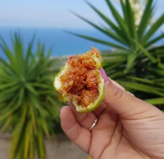 Отель Azienda Agrituristica La Fonte