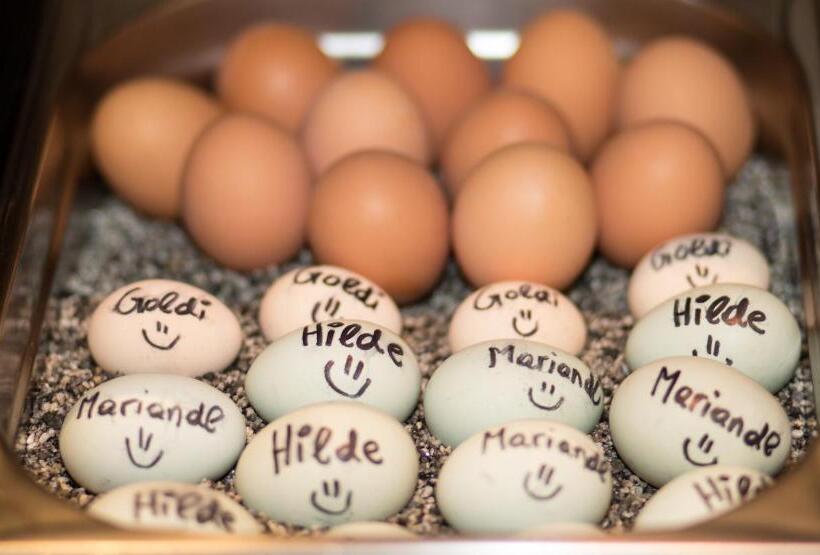 هتل Bliem S Familien