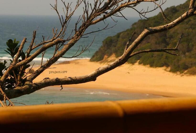 פנסיון Bamboo Room