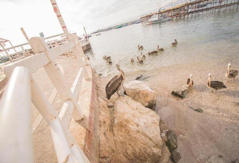 پانسیون Señorio Chiribaya