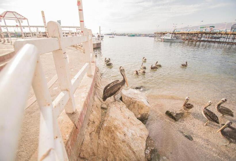 پانسیون Señorio Chiribaya