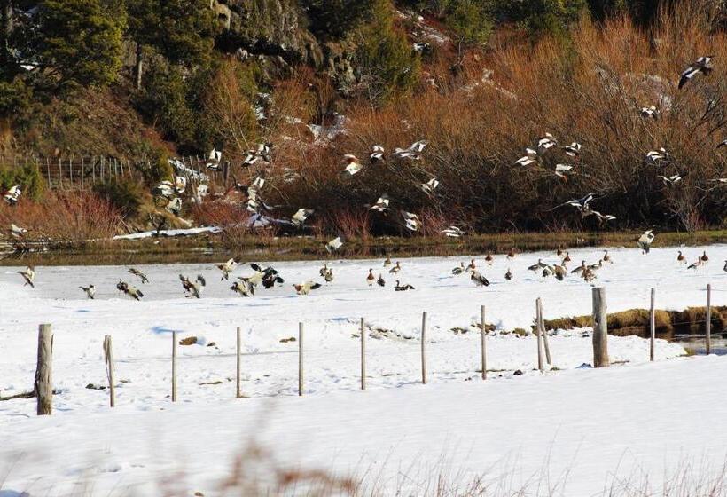 فندق صغير La Pilarica River & Mountain Lodge