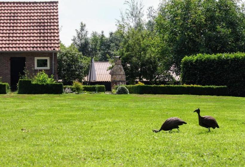 B&b Ruurlo Belle Rose