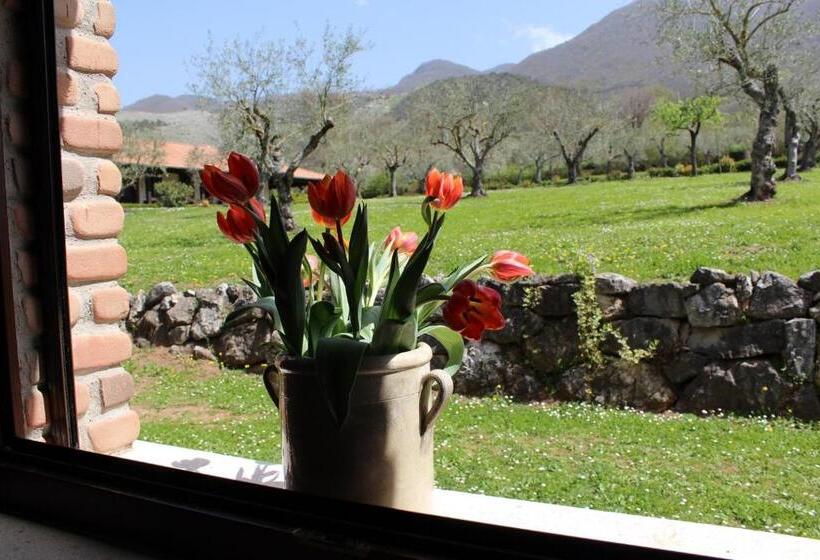 בית מלון כפרי Agriturismo Il Castagneto