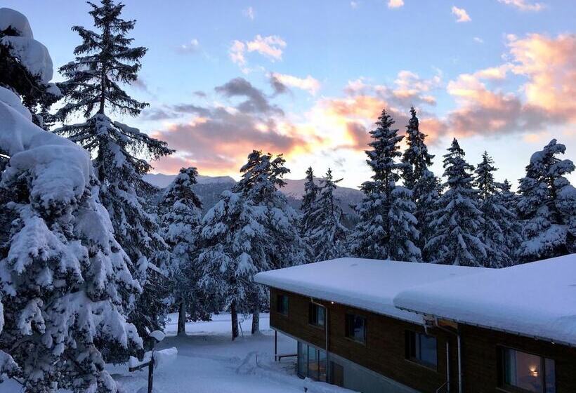 בית מלון כפרי Sport  Und Ferienhaus Don Bosco