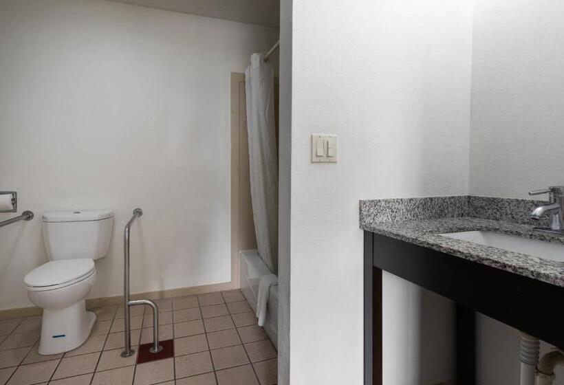 فندق على الطريق Deridder Hwy 171 North