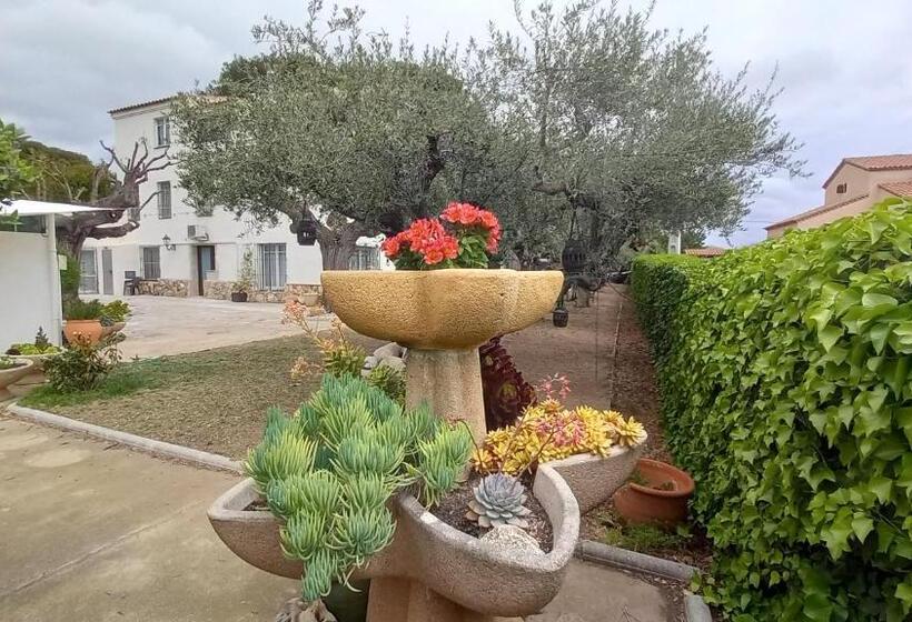 ペンション Apartments In Villa Isabel